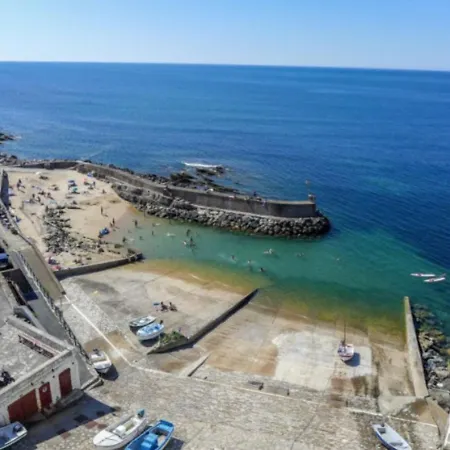 Studette Ideale Pour Surfer A 10 Metres De La Plage Bien Lire Le Descriptif
