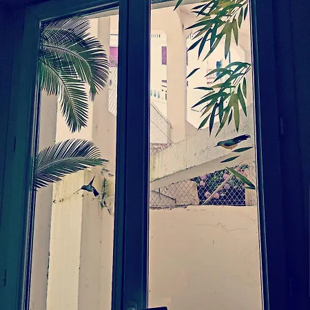 Studette Ideale Pour Surfer A 10 Metres De La Plage Bien Lire Le Descriptif Apartment Guethary