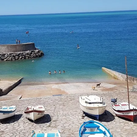 Apartment Studette Ideale Pour Surfer A 10 Metres De La Plage Bien Lire Le Descriptif *